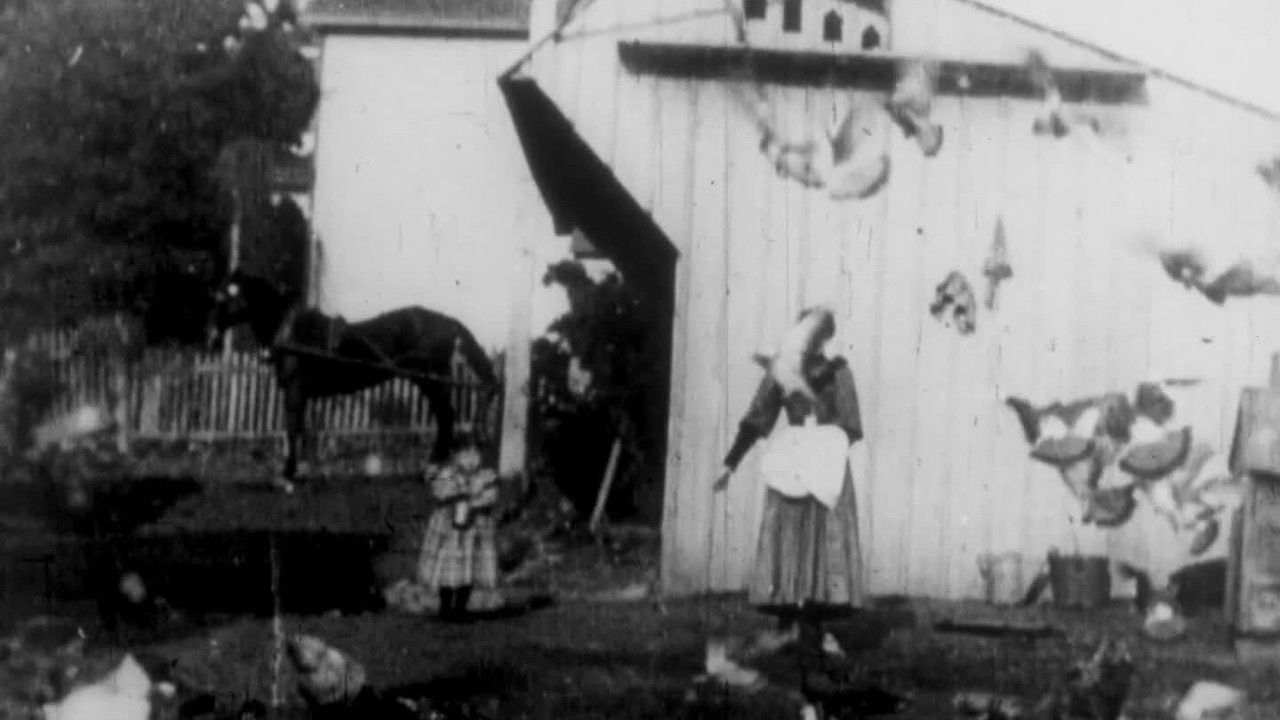 Feeding the Doves backdrop