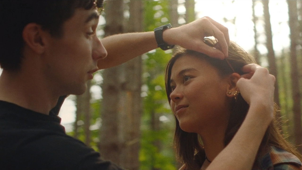 An Autumn Summer backdrop