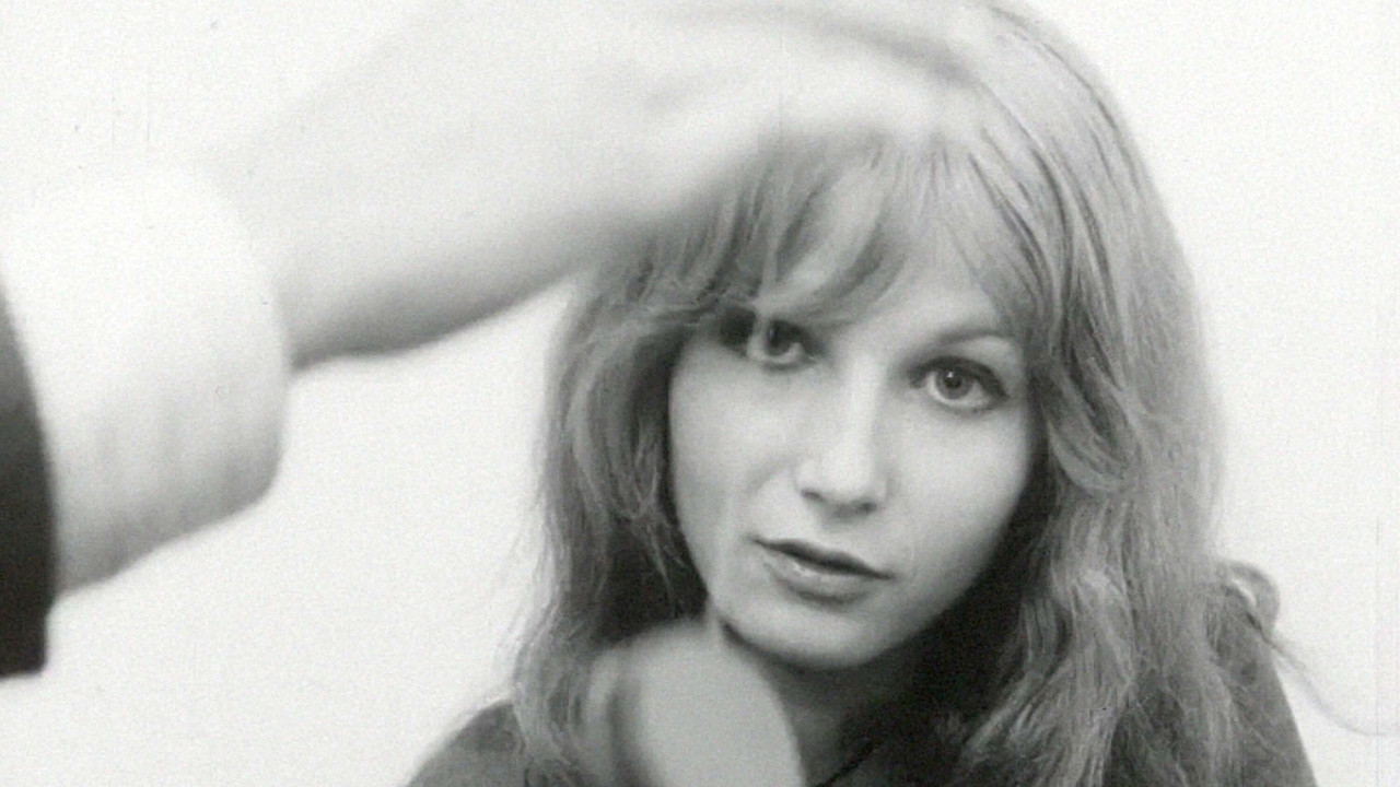 Die Geschäftsfreunde backdrop