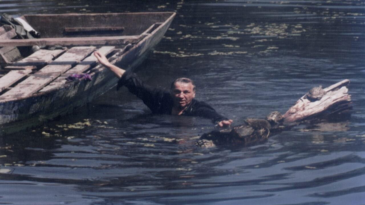 Shadows of Memories backdrop