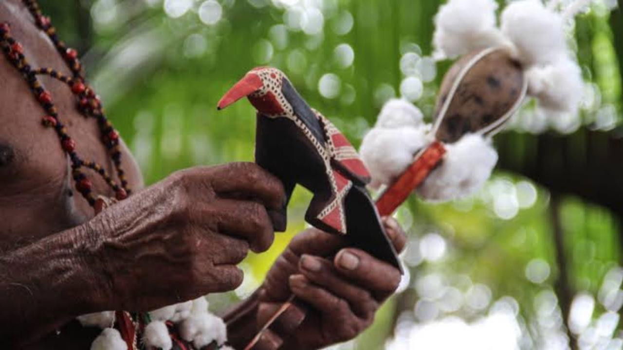 Kayka Aramtem: Saber e tradição de um sábio arukwayane backdrop