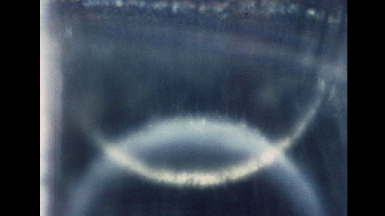 Light Lick: Amen backdrop