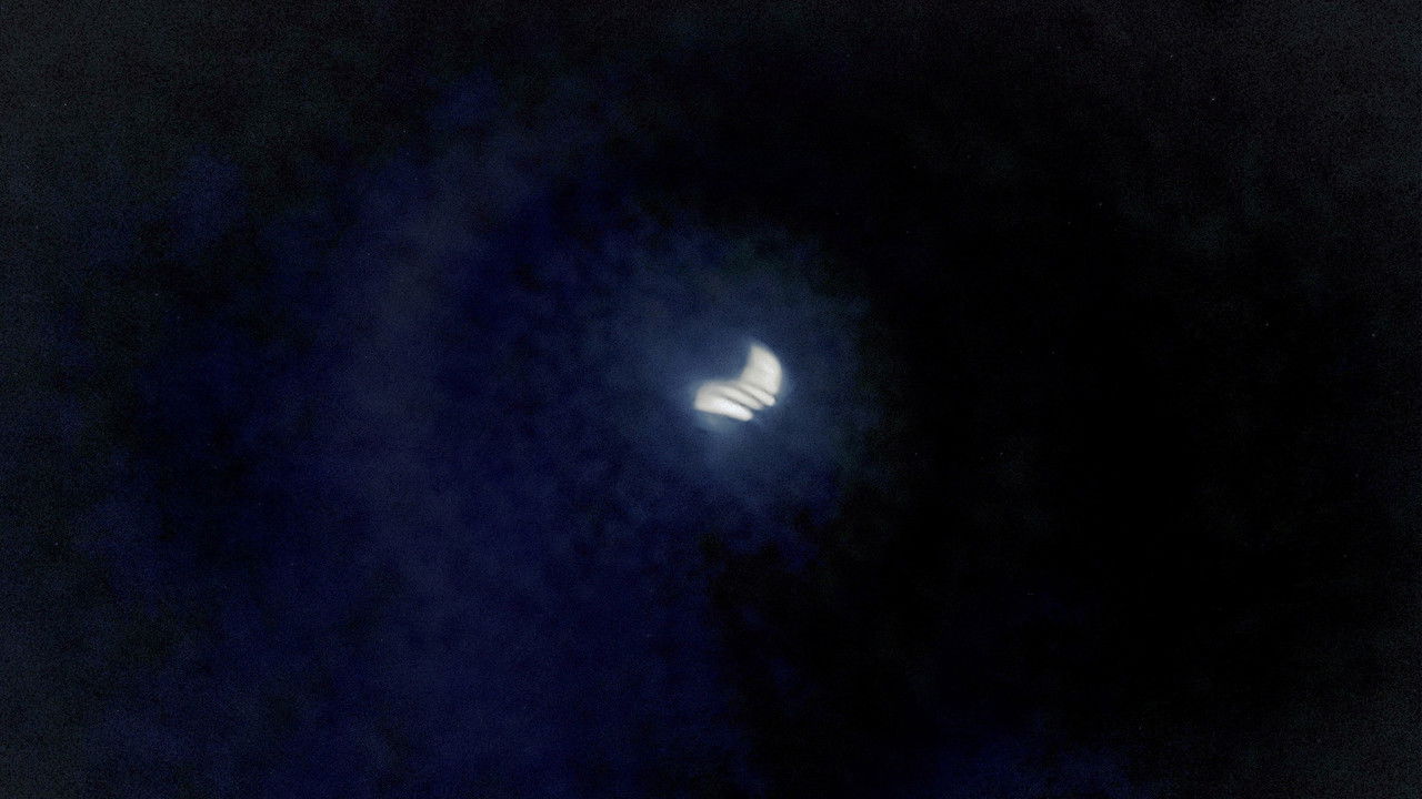 The Angel of Forms backdrop