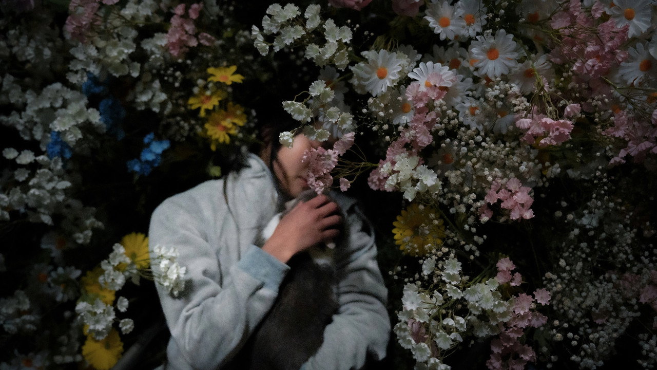 The Inception of Seeking backdrop