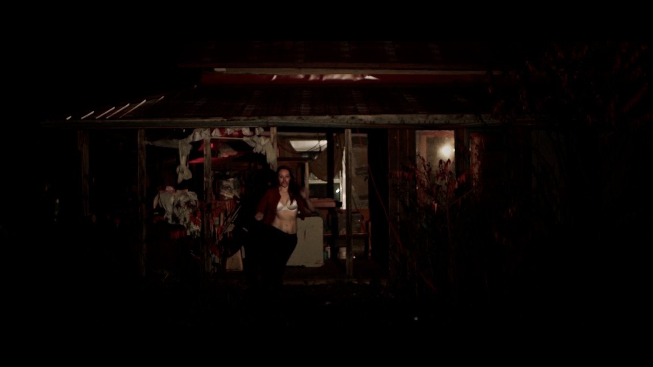 Horror and Hamsters backdrop