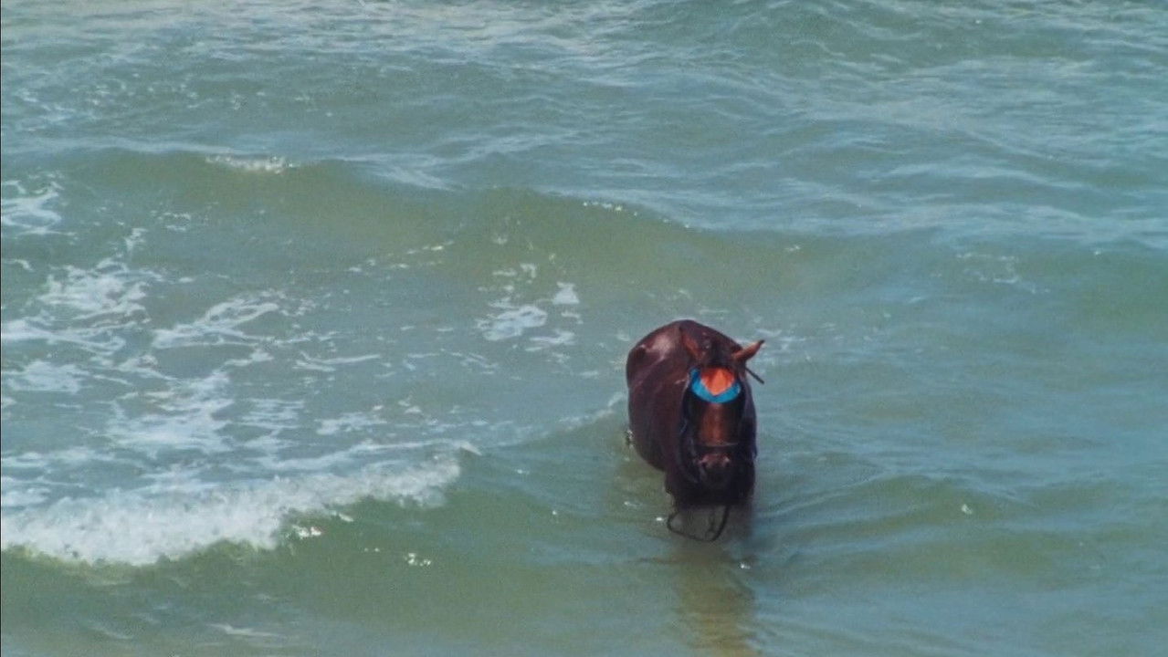 Electrical Gaza backdrop