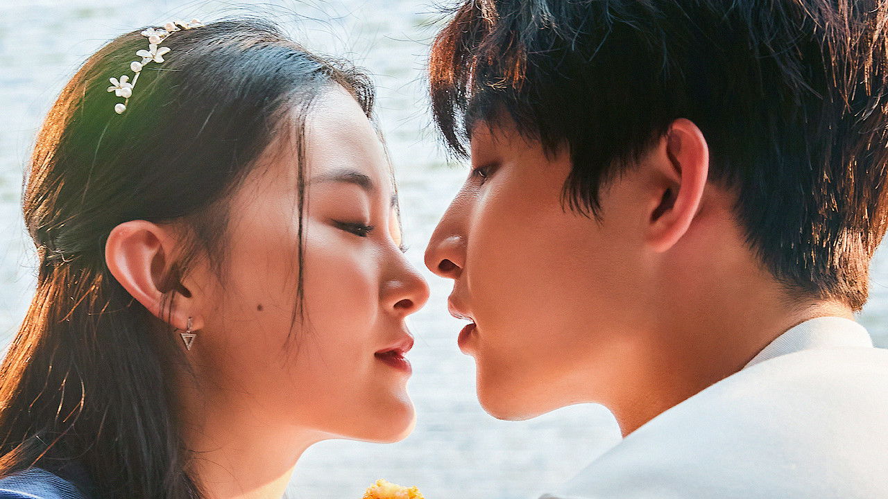 Love at Second Sight backdrop