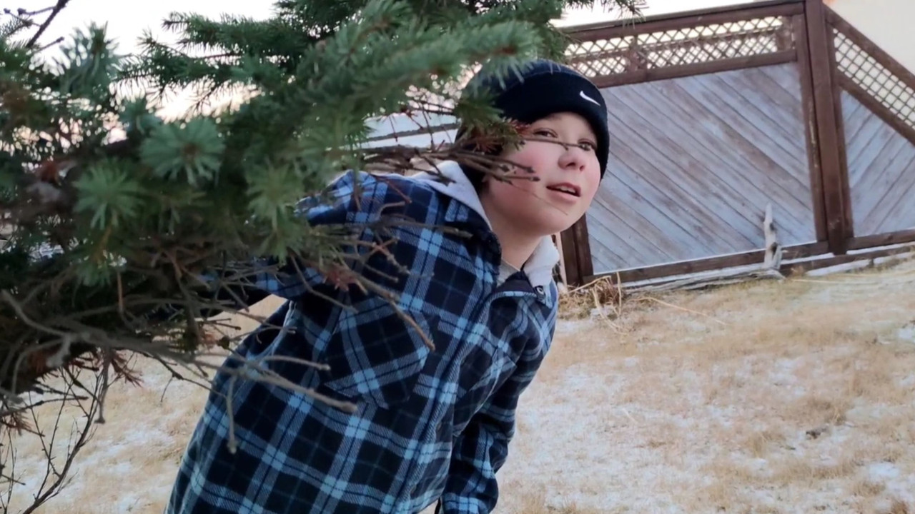 A Total Clover Christmas backdrop