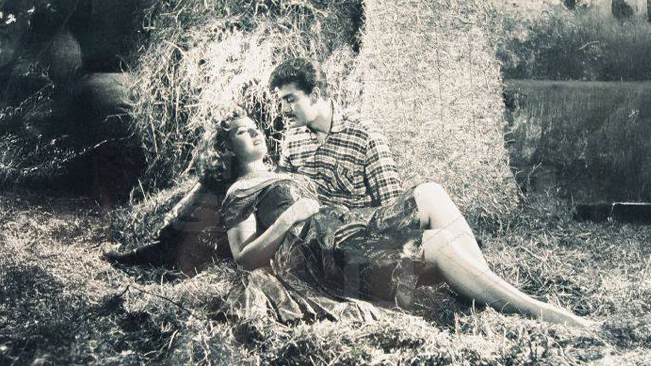 Tilki Leman backdrop