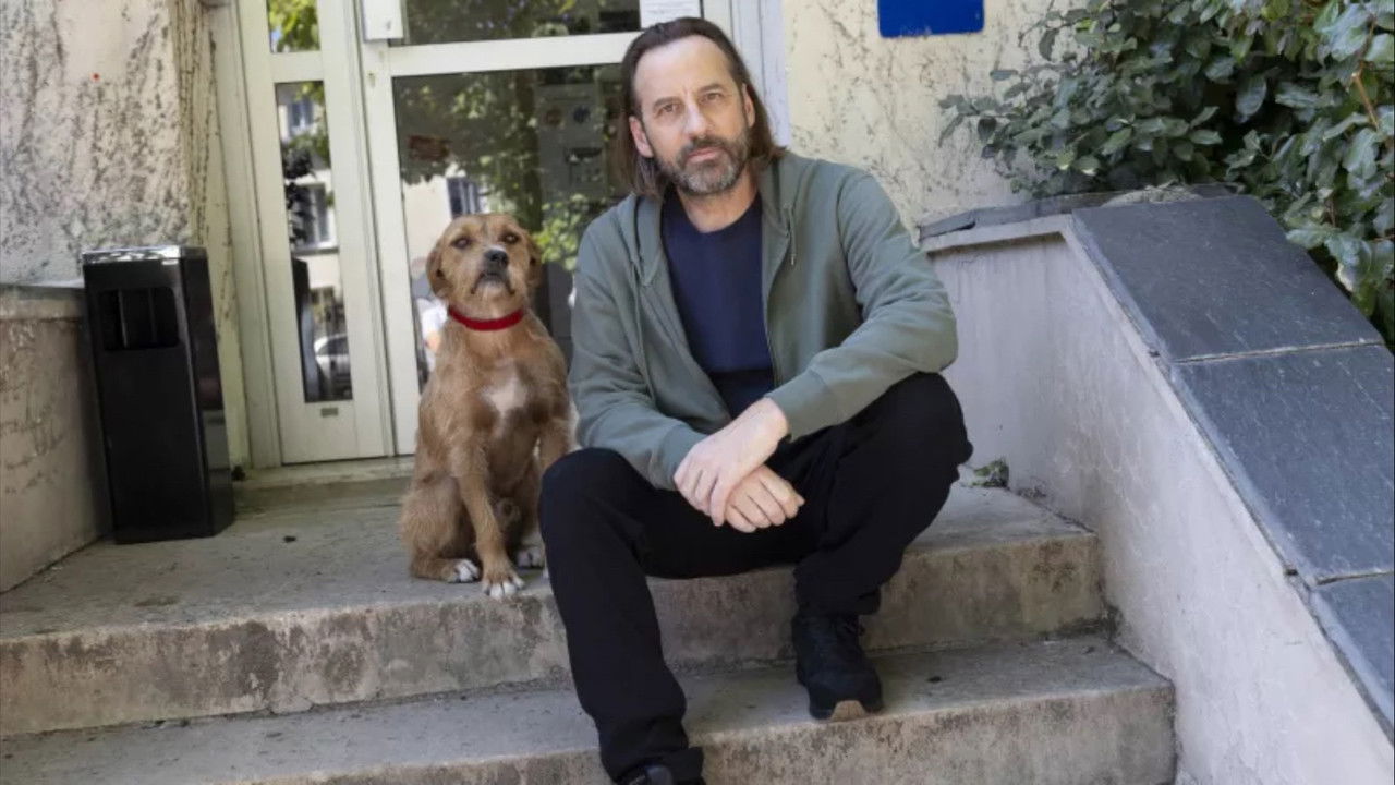 Bêtes de flic backdrop