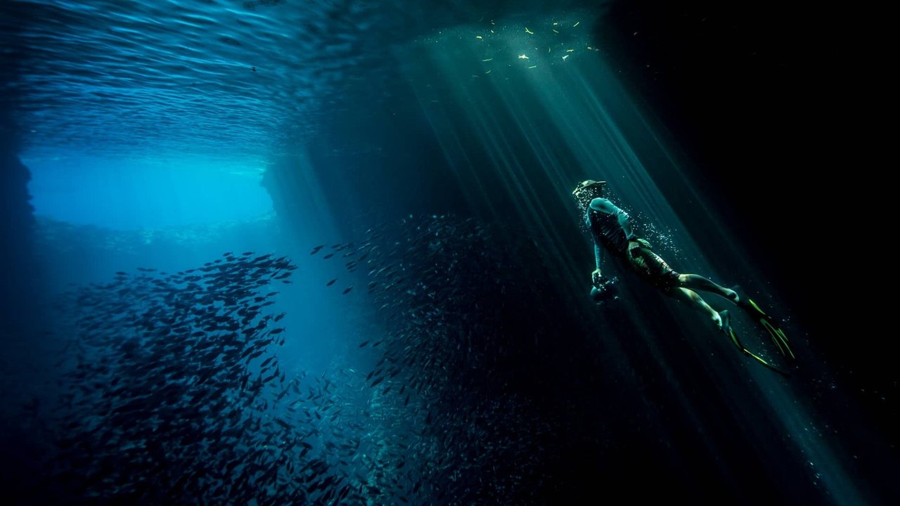 Tales by Light backdrop