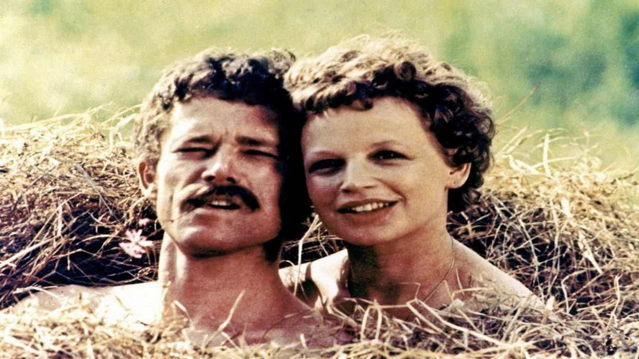 The Crazy Smell of Fresh Hay backdrop