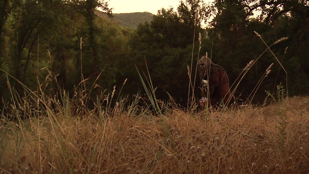 Bigfoot's Wild Weekend backdrop