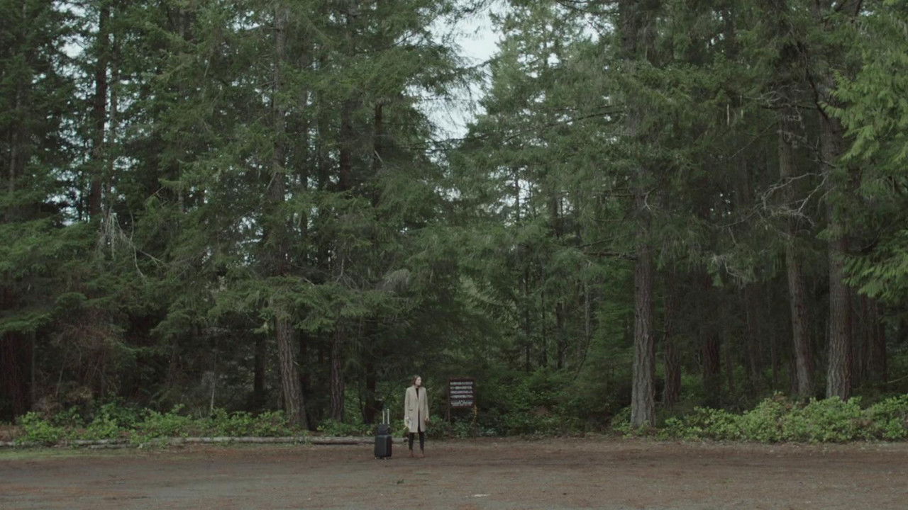 The People Garden backdrop