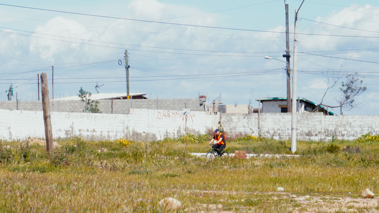 Entrega a Domicilio backdrop