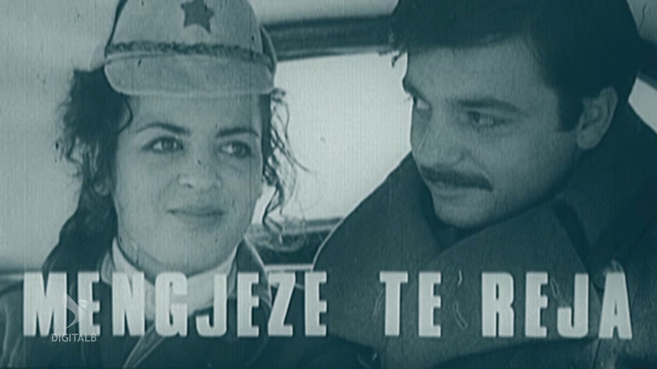 New Mornings backdrop