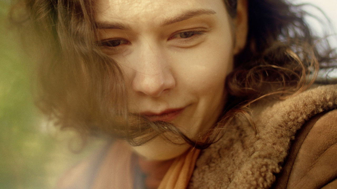 Forgotten Summer Haze backdrop