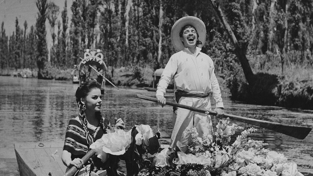 El Violetero backdrop