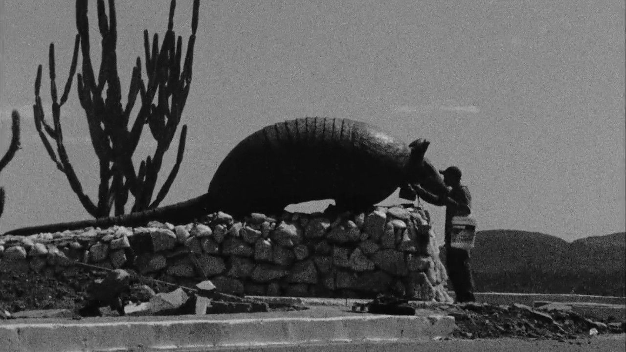 Backlands, America backdrop