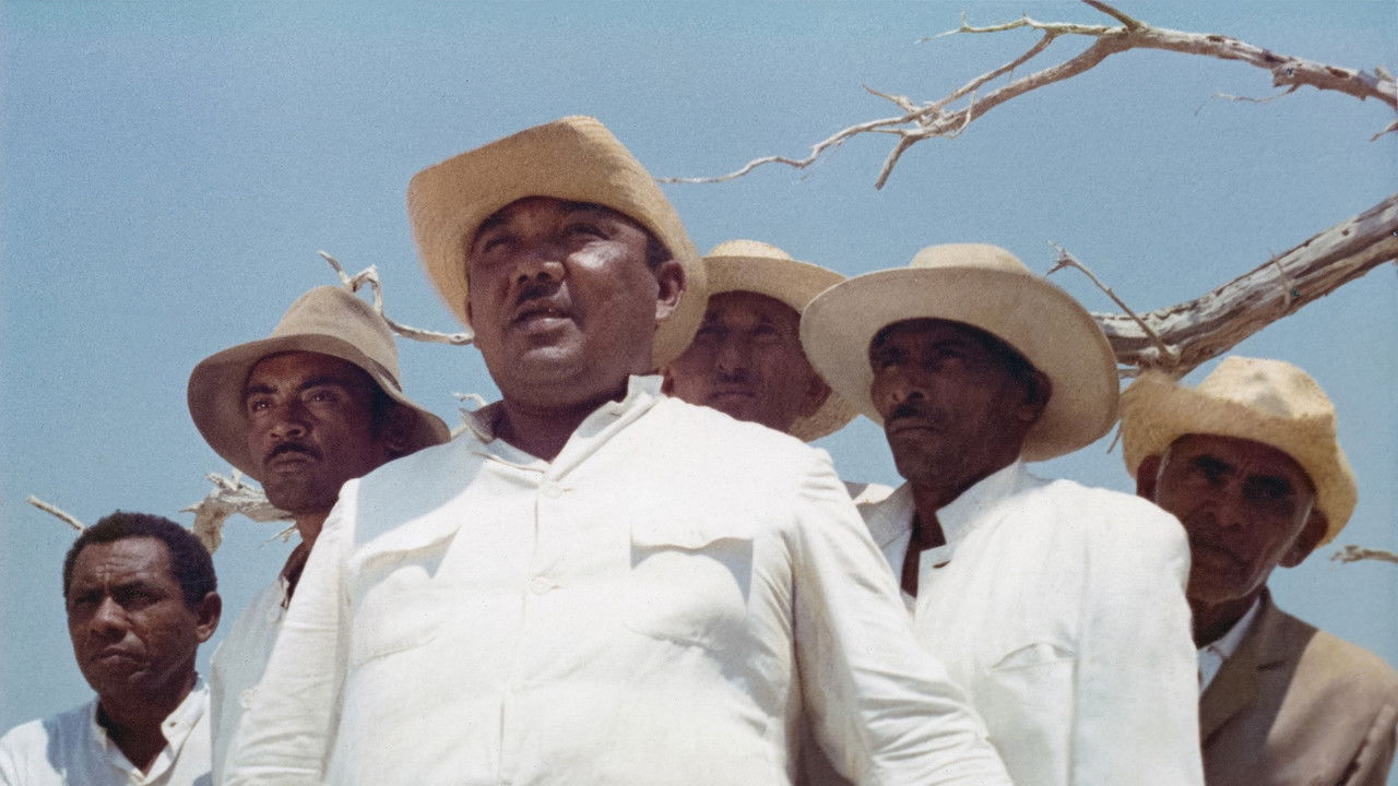 La Bicicleta backdrop