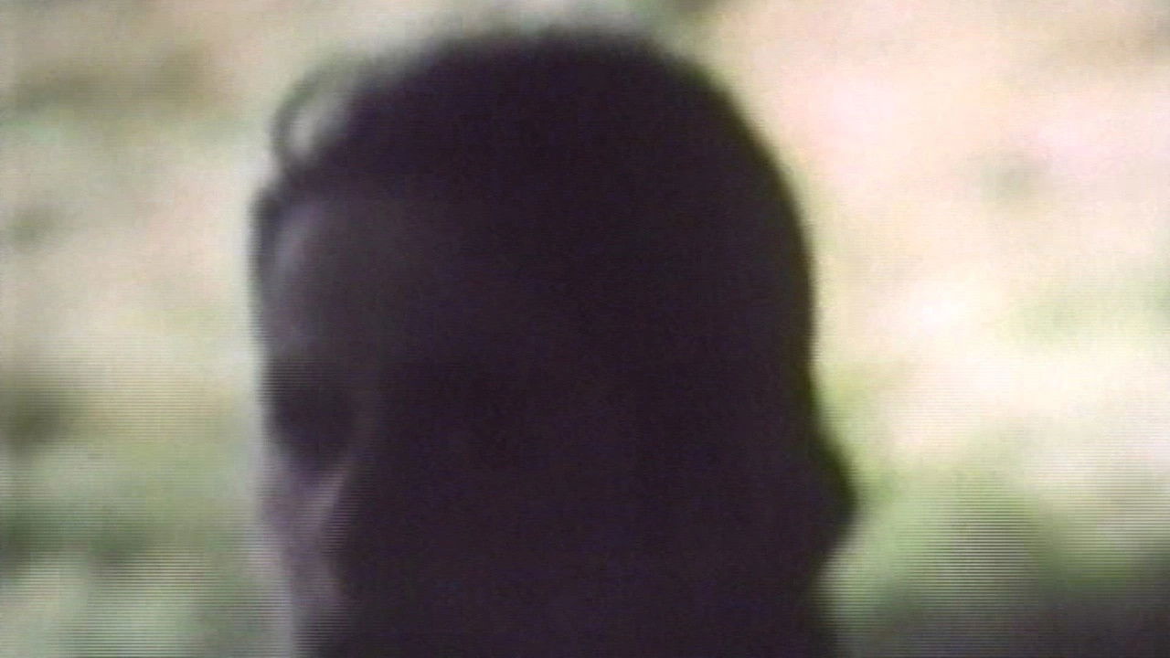 Uccelli di terra backdrop