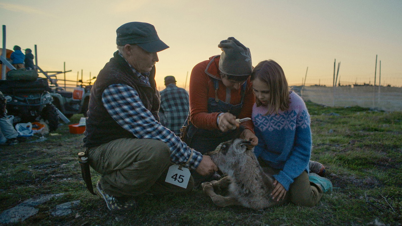 Let Our Mountains Live backdrop