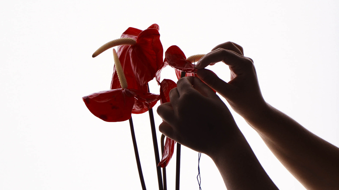 It Went With The Sea backdrop