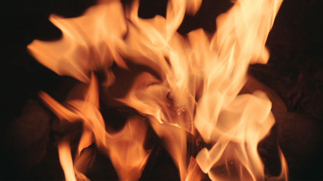 Melody of Love backdrop