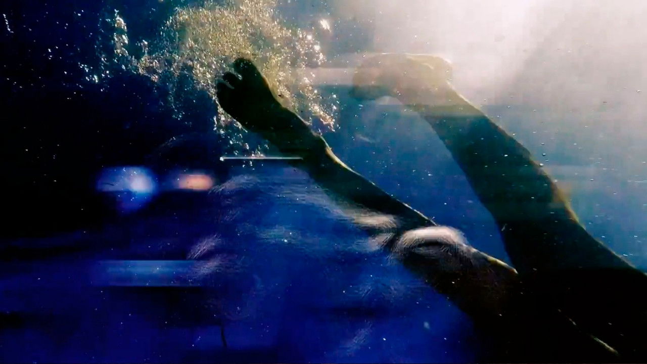 The Children of God backdrop