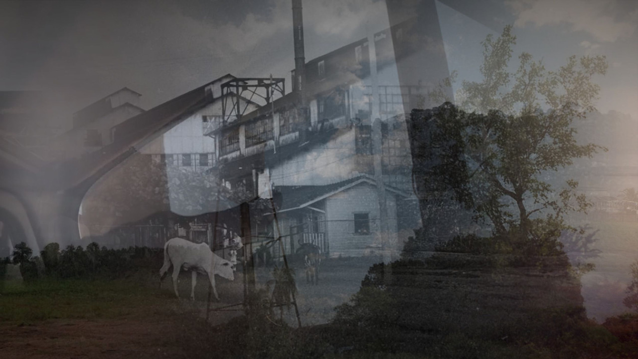 Fordlândia Panacea backdrop