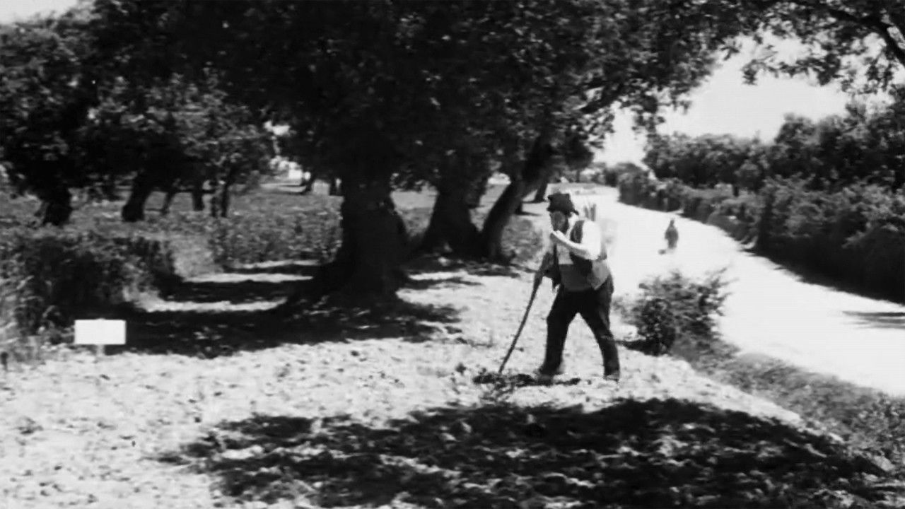 A Via Áurea backdrop