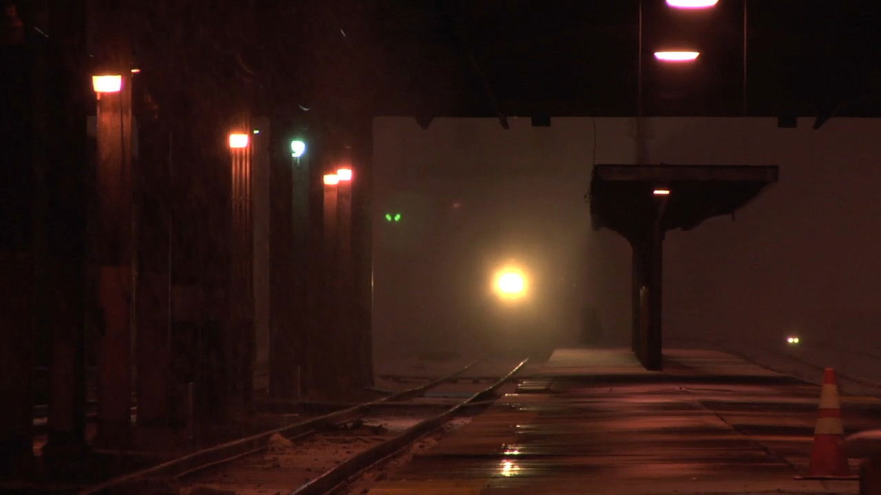 Traveling Light backdrop