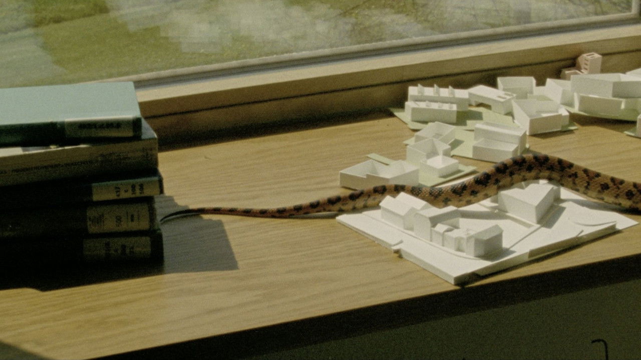 Trees Down Here backdrop