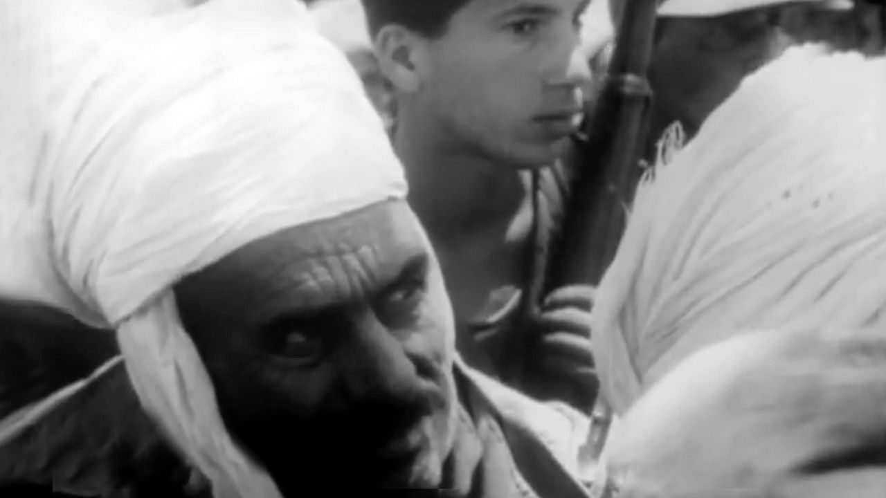 Algérie 1962: Chronique d'un conflit backdrop