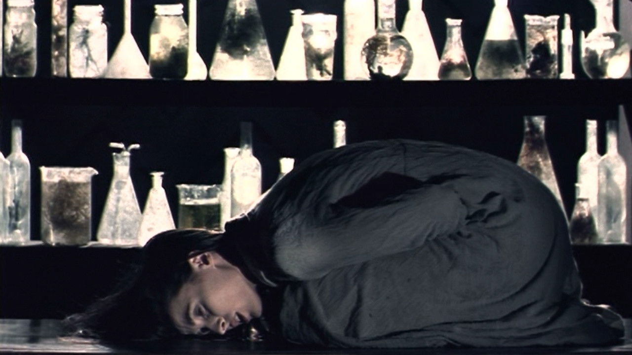 Thief or Reality backdrop