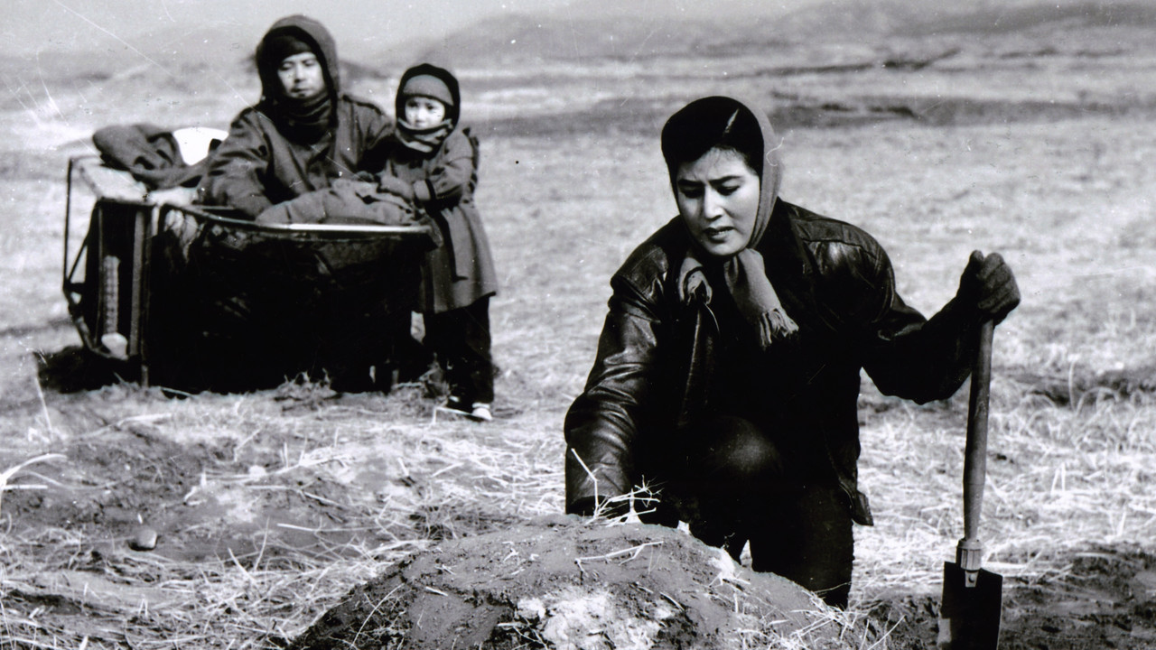 To the Last Day backdrop