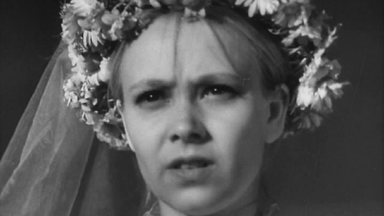 Drama in the Barber’s Shop backdrop