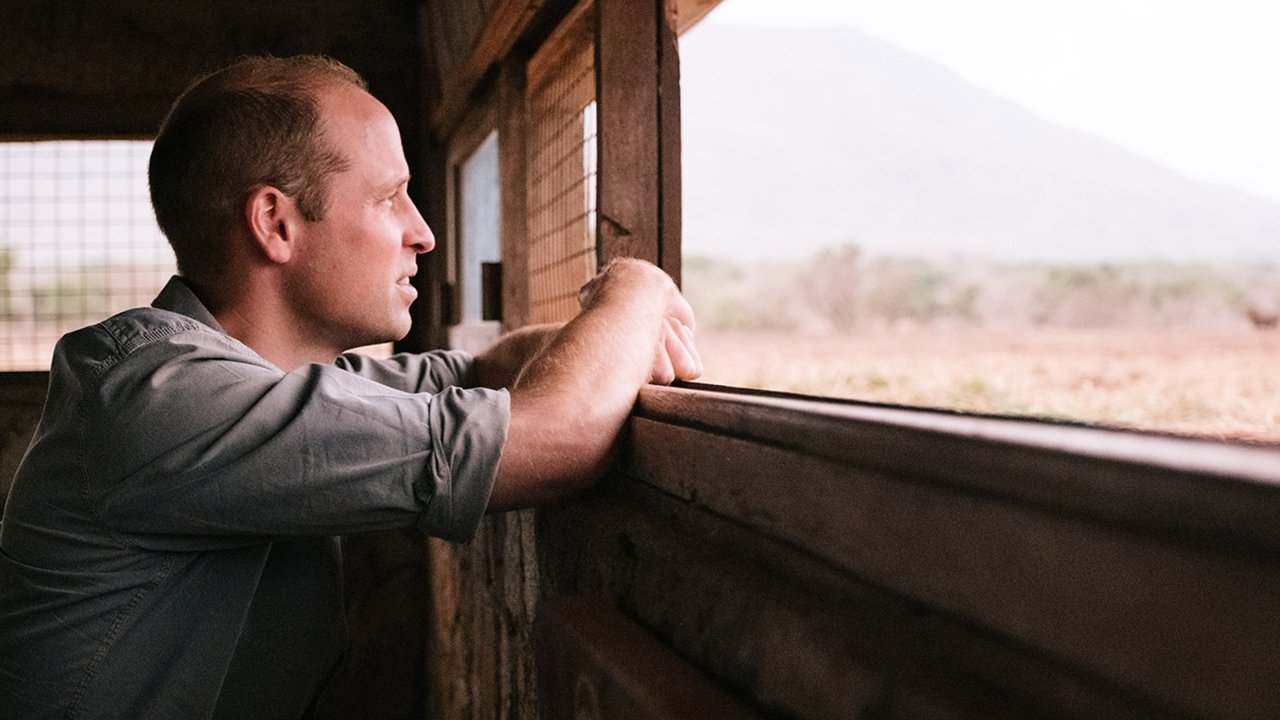 Prince William: A Planet For Us All backdrop