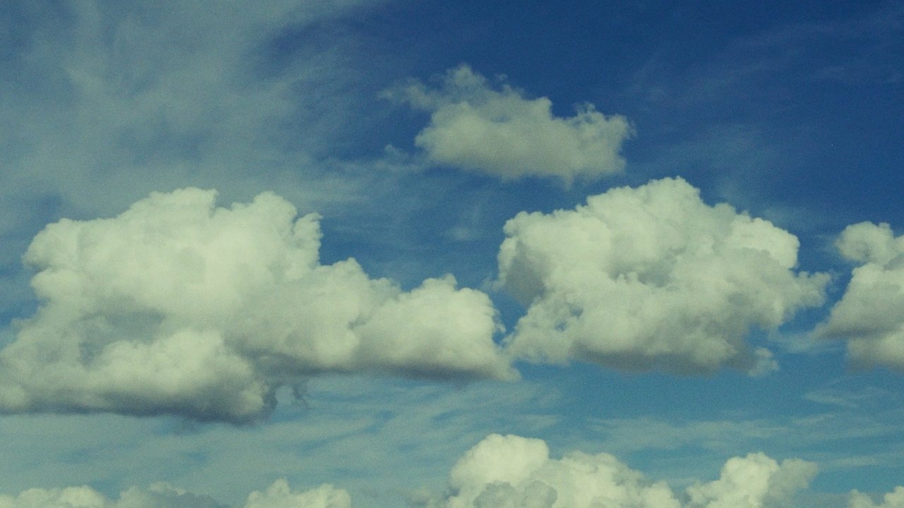 Live a Little backdrop