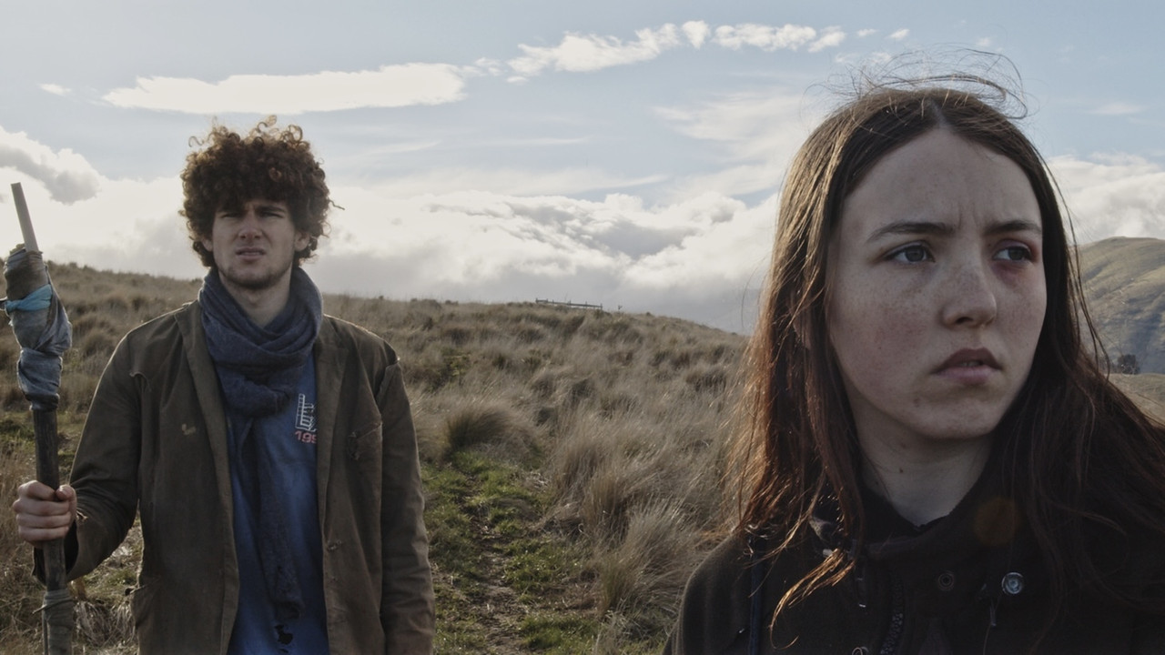 Pukeko Duck backdrop