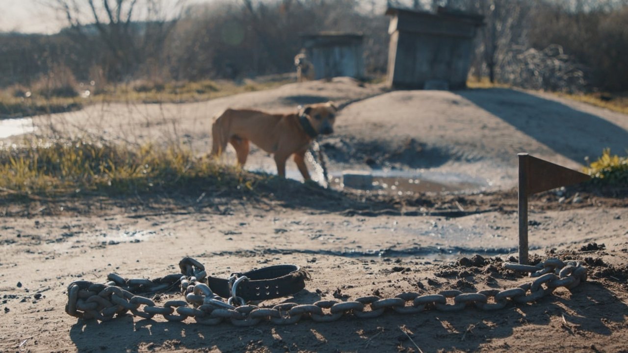 Searching for Nika backdrop