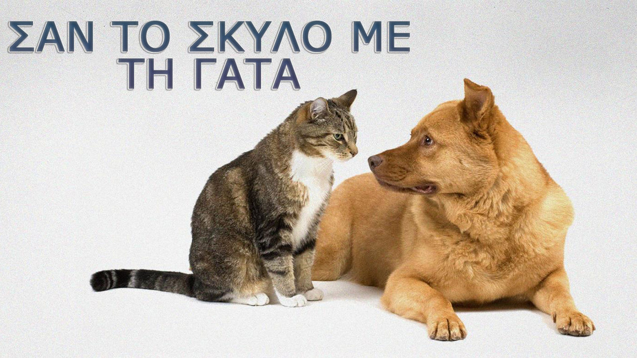 Σαν τον σκύλο με τη γάτα backdrop