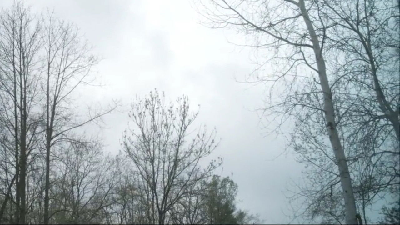 La Traversée backdrop