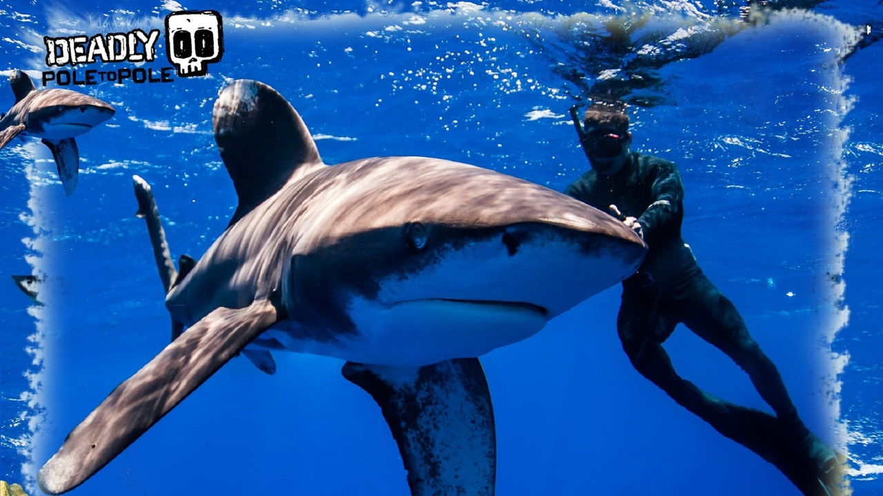 Deadly Pole to Pole backdrop