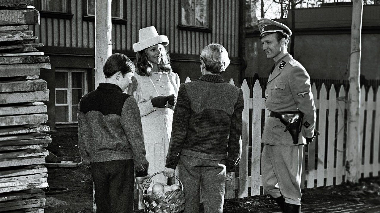 Fire in the Night backdrop