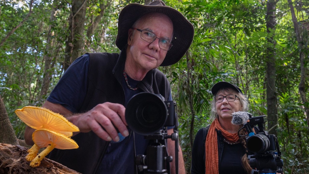 Follow the Rain backdrop
