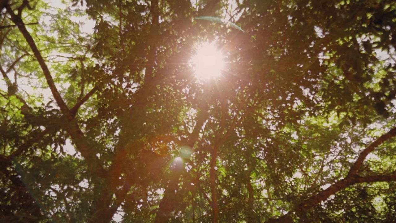 Criadores de Saci backdrop