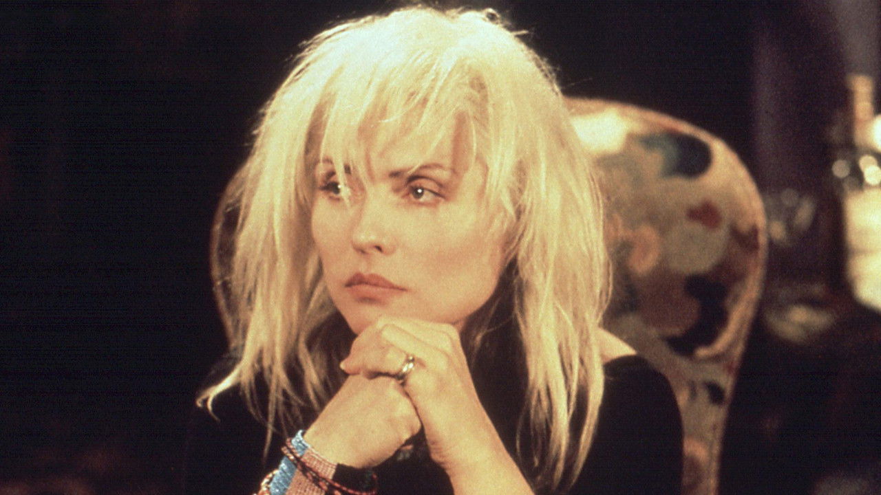 Intimate Stranger backdrop