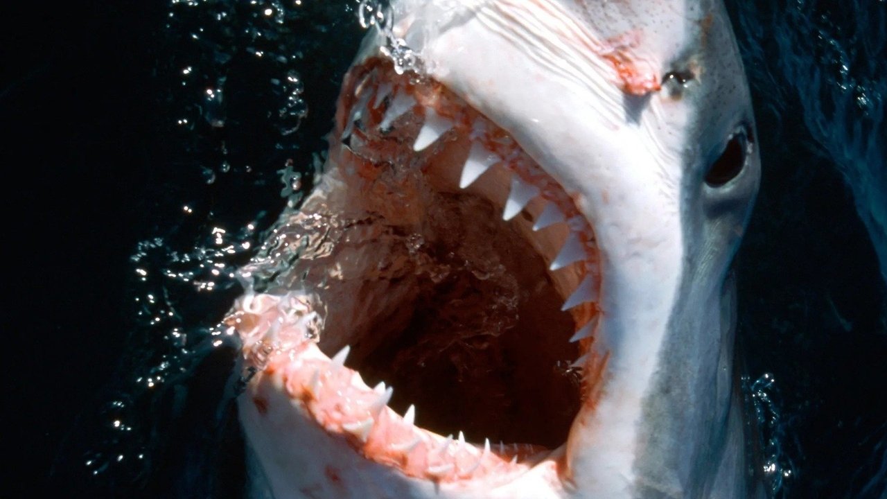 10 Animals That Will Kill You backdrop