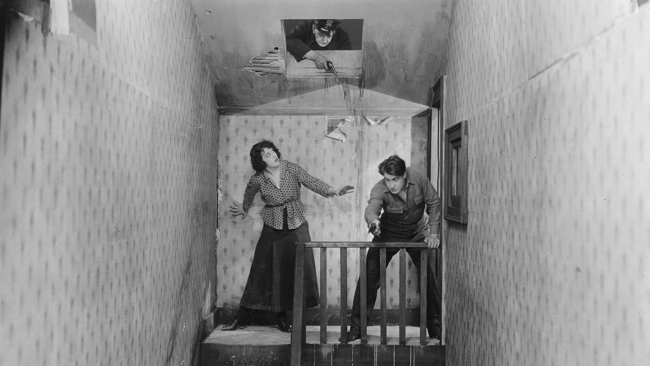 While New York Sleeps backdrop